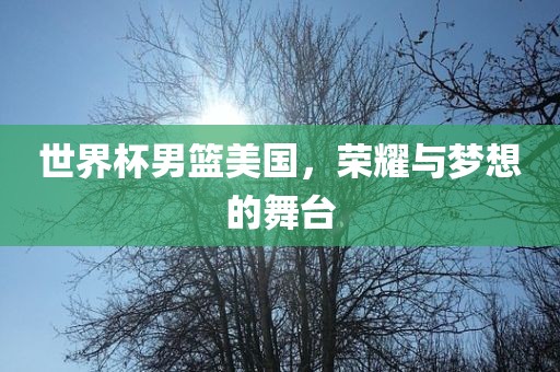 世界杯男篮美国，荣耀与梦想的舞台