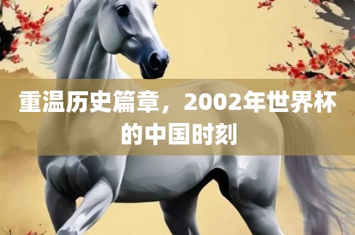 重温历史篇章，2002年世界杯洪湖市顺升工程机械租赁有限公司的中国时刻