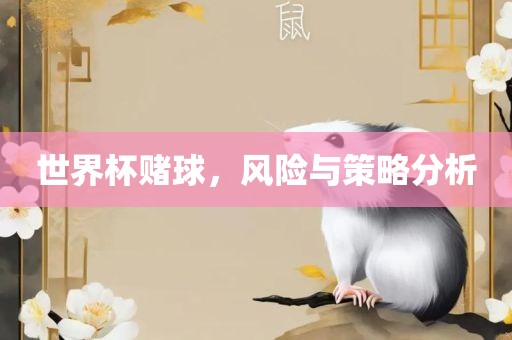 世界杯赌球，风险与策略分析
