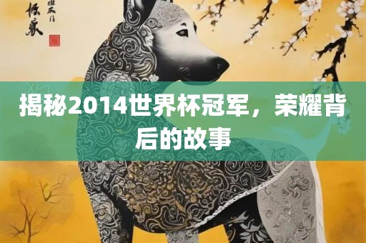 揭秘2014世界杯冠军，荣耀背后的故事