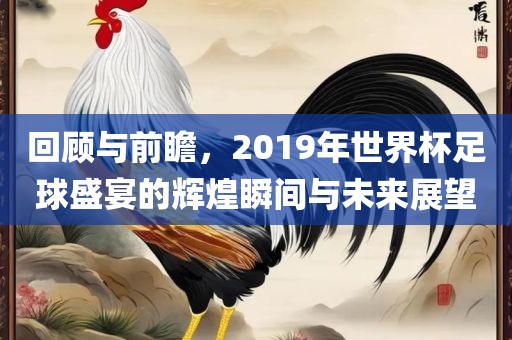 回顾与前瞻，2019年世界杯足球盛宴的辉煌瞬间与未来展望