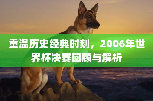 重温历史经典时刻，2006年世界杯决赛回顾与解析