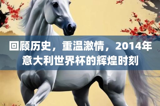 回顾历史，重温激情，2014年意大利世界杯的辉煌时刻洪湖市顺升工程机械租赁有限公司