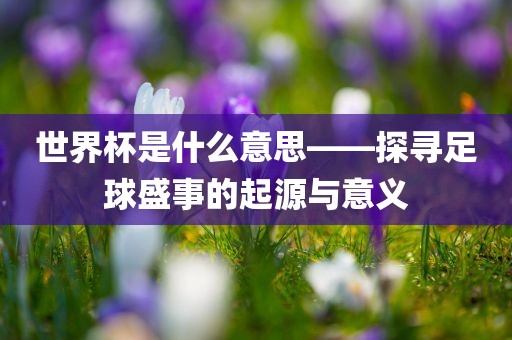 世界杯是什么意思——探寻足球盛事的起源与意义