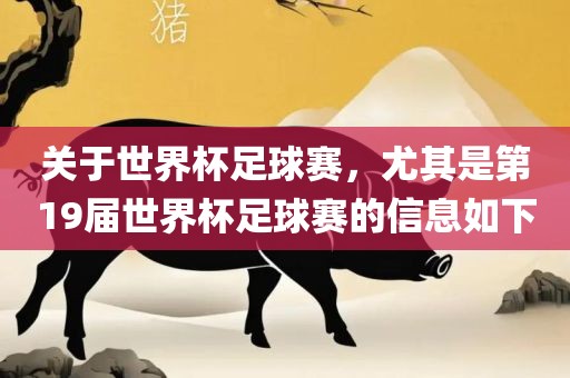 关于世界杯足球赛，尤其是第19届世界杯足球赛的信息如下