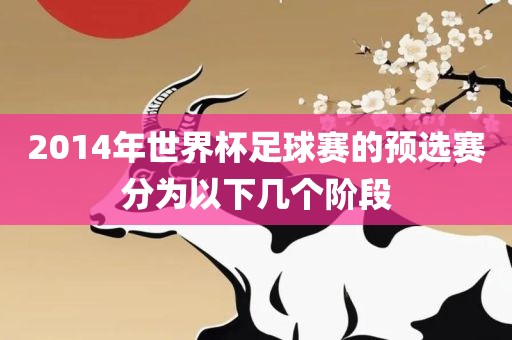 2014年世界杯足球赛的预选赛分为以下几个阶段