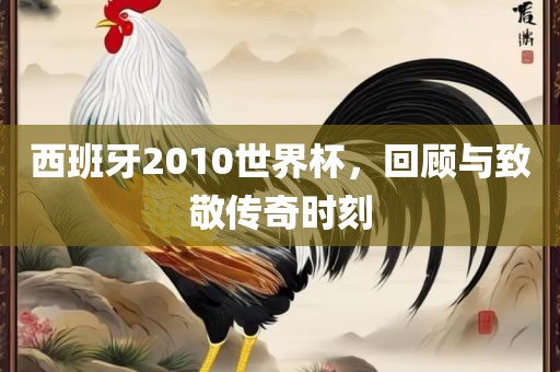 西班牙2010世界杯，回顾与致敬传奇时刻