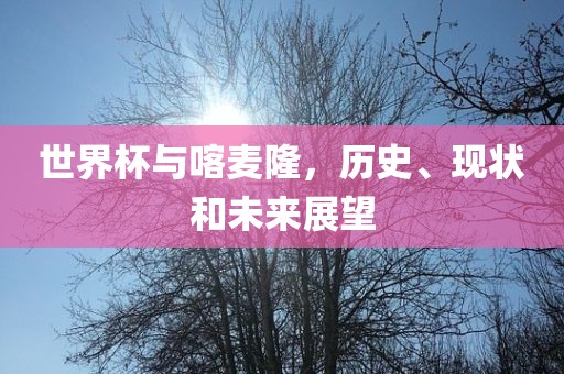 世界杯与喀麦隆，历史、现状和未来展望