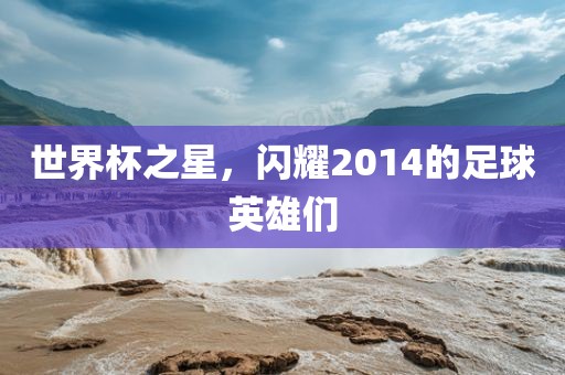 世界杯之星，闪耀2014的足球英雄们