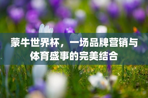 蒙牛世界杯，一场品牌营销与体育盛事的完美结合