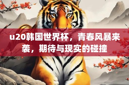 u20韩国世界杯，青春风暴来袭，期待与现实的碰撞洪湖市顺升工程机械租赁有限公司