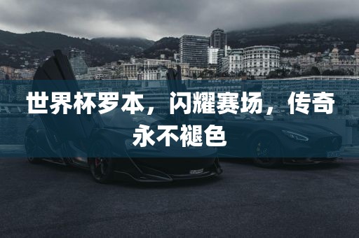 世界杯罗本，闪耀赛场，传奇永不褪色洪湖市顺升工程机械租赁有限公司