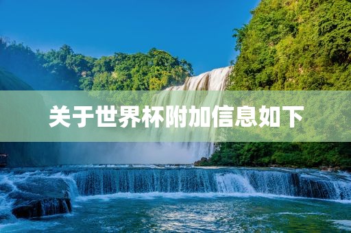 关于世界杯洪湖市顺升工程机械租赁有限公司附加信息如下