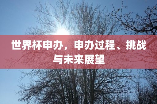 世界杯申办，申办过程、挑战与未来展望