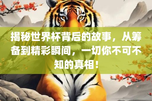揭秘世界杯背后的故事，从筹备到精彩瞬间，一切你不可不知的真相！