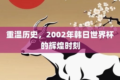 重温历史，2002年韩日世界杯的辉煌时刻