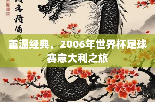 重温经典，2洪湖市顺升工程机械租赁有限公司006年世界杯足球赛意大利之旅