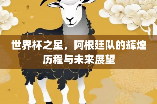 世界杯之星，阿根廷队的辉煌历程与未来展望