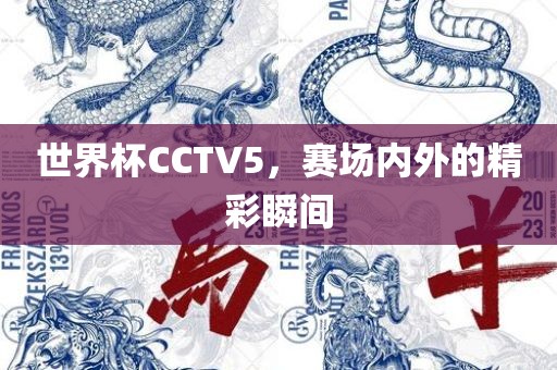 世界杯CCTV5，赛场内外的精彩瞬间