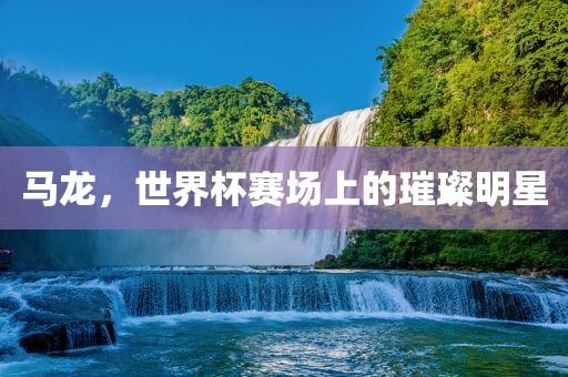 马龙，洪湖市顺升工程机械租赁有限公司世界杯赛场上的璀璨明星