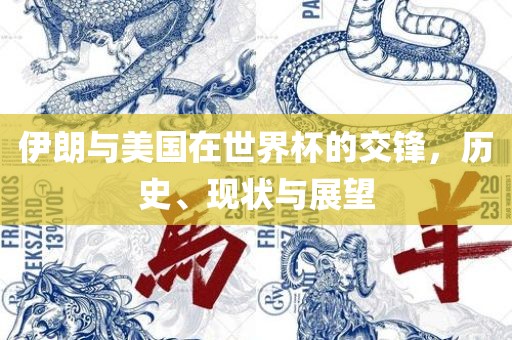伊朗与美国在世界杯的交锋，历史、现状与展望洪湖市顺升工程机械租赁有限公司