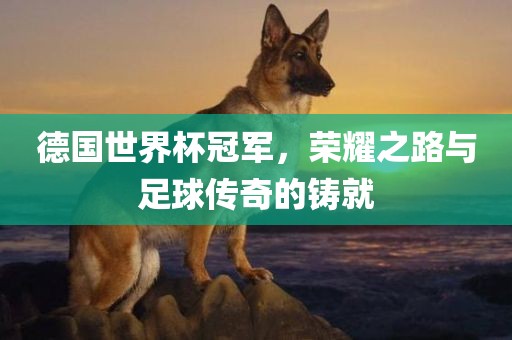 德国世界杯冠军，荣耀之路与足球传奇的铸就