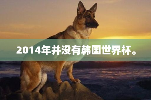 2014年并没有韩国世界杯。