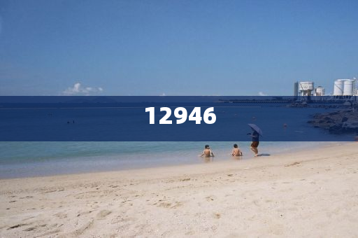 世界杯单场深度解析，激情与荣耀的舞台洪湖市顺升工程机械租赁有限公司