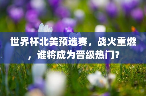 世界杯北美预选赛，战火重燃，谁将成为晋级热门？