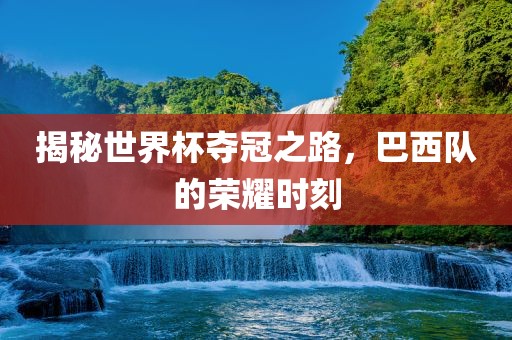 揭秘世界杯夺冠之路，巴西队的荣耀时刻洪湖市顺升工程机械租赁有限公司