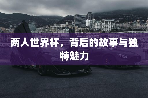 两人世界杯，背后的故事与独特魅力