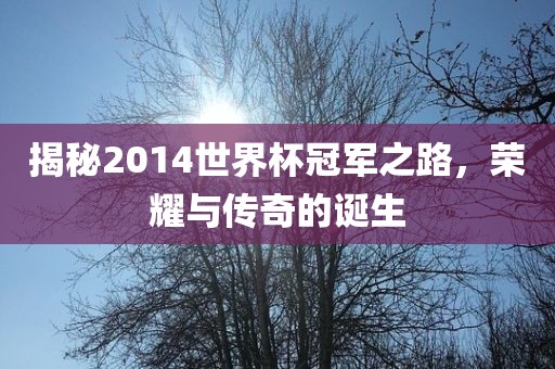 揭秘2014世界杯冠军之路，荣耀与传奇的诞生