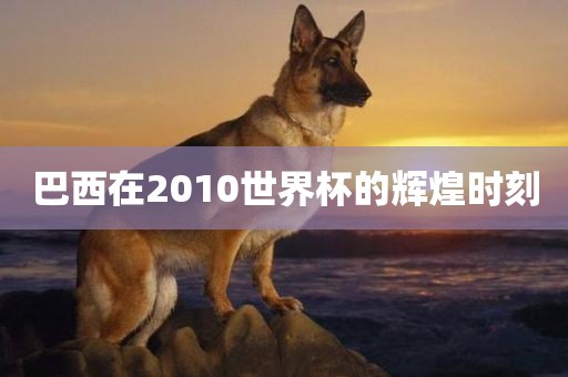 巴西在201洪湖市顺升工程机械租赁有限公司0世界杯的辉煌时刻