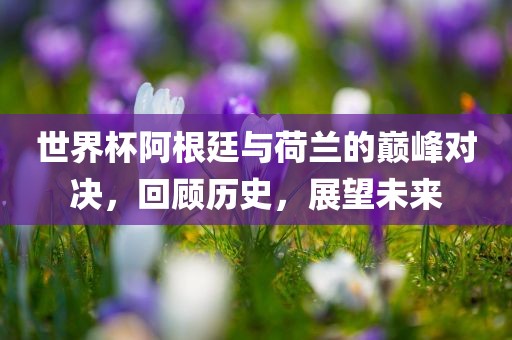 世界杯阿根廷与荷兰的巅峰对决，回顾历史，展望未来洪湖市顺升工程机械租赁有限公司