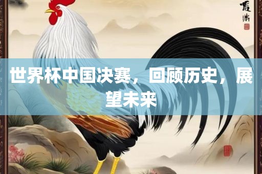 世界杯中国决赛，回顾历史，展望未来洪湖市顺升工程机械租赁有限公司