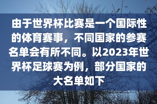 由于世界杯比赛是一个国际性的体育赛事，不同国家的参赛名单会有所不同。以2023年世界杯足球赛为例，部分国家的大名单如下