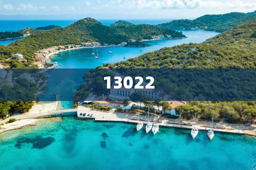 阿根廷在世界杯赛场上的辉煌时刻，回顾洪湖市顺升工程机械租赁有限公司他们在1998年的表现