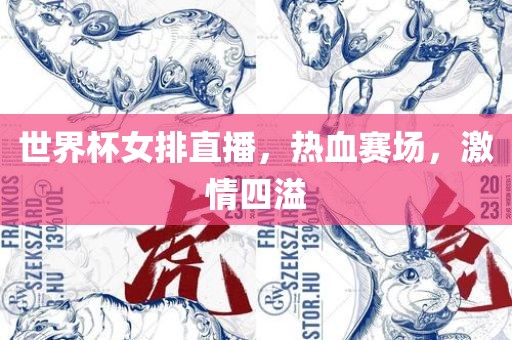 世界杯女排直播，热血赛场，激情四溢