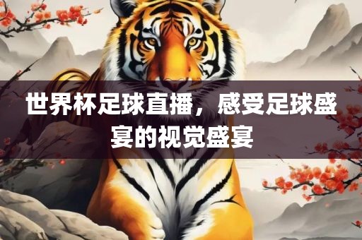 世界杯足球直播，感受足球盛宴的视觉盛宴