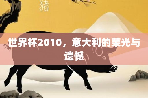 世界杯2010，意大利的荣光与遗憾