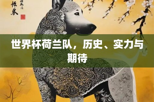 世界杯荷兰队，历史、实力与期待