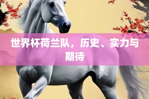 世界杯荷兰队，历史、实力与期待