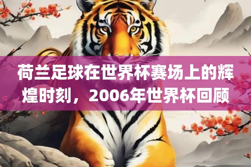 荷兰足球在世界杯赛场上的辉煌时刻，2006年世界杯回顾