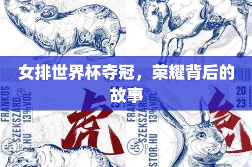 女排世界杯夺冠，荣耀背后的故事