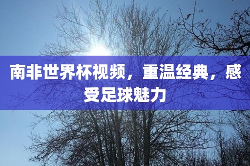 南非世界杯视频，重温经典，感受足球魅力