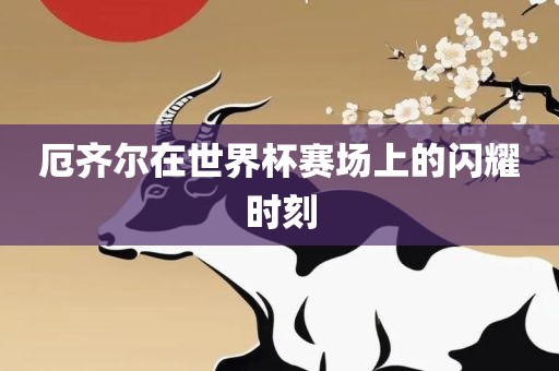 厄齐尔在世界杯赛场上的闪耀时刻