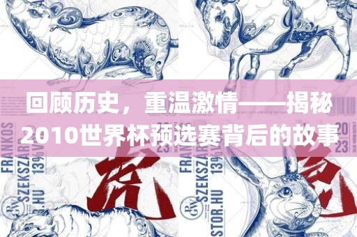 回顾历史，重温激情——揭秘2010世界杯预选赛背后的故事