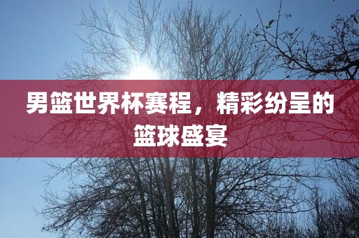 男篮世界杯赛程，精彩纷呈的篮球盛宴