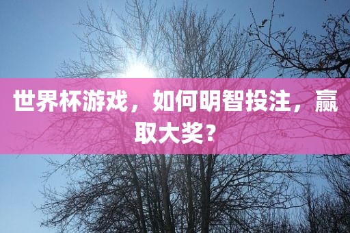 世界杯游戏，如何明智投注，赢取大奖？洪湖市顺升工程机械租赁有限公司