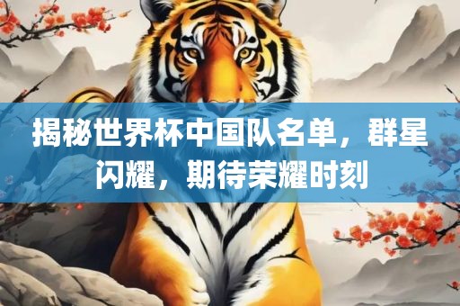 揭秘世界杯中国队名单洪湖市顺升工程机械租赁有限公司，群星闪耀，期待荣耀时刻